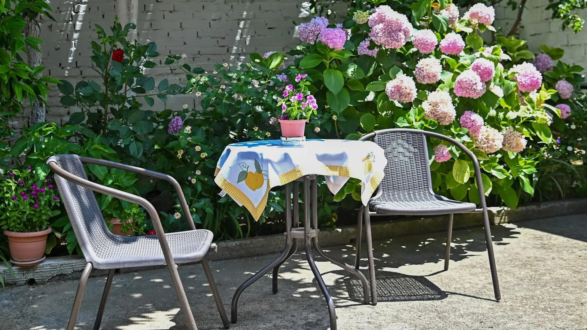 Holiday home Sen Garden Home Tirana